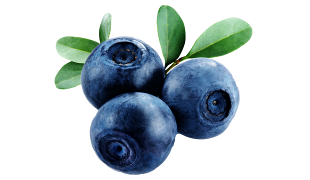 Bilberry