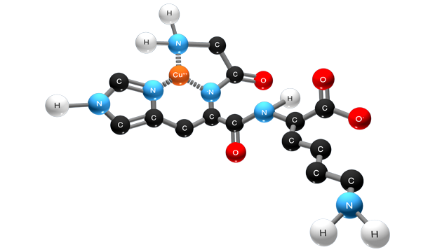 Tripeptide-1 (Copper Tripeptide-1)