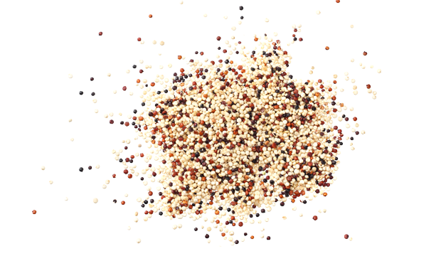 Quinoa