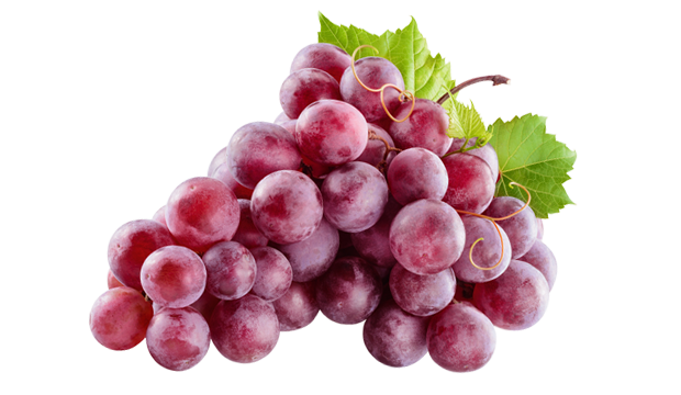 Resveratrol